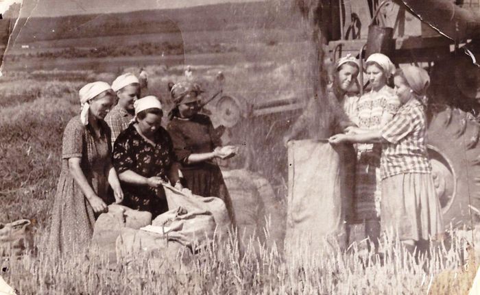 3 номинация 3 место. Фото Уборка урожая 1953 г. в Кольцово (Конышев Е., г. Назарово)